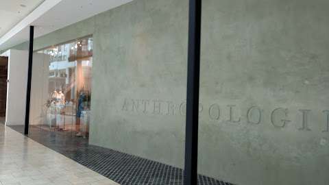 Anthropologie Anthropologie
